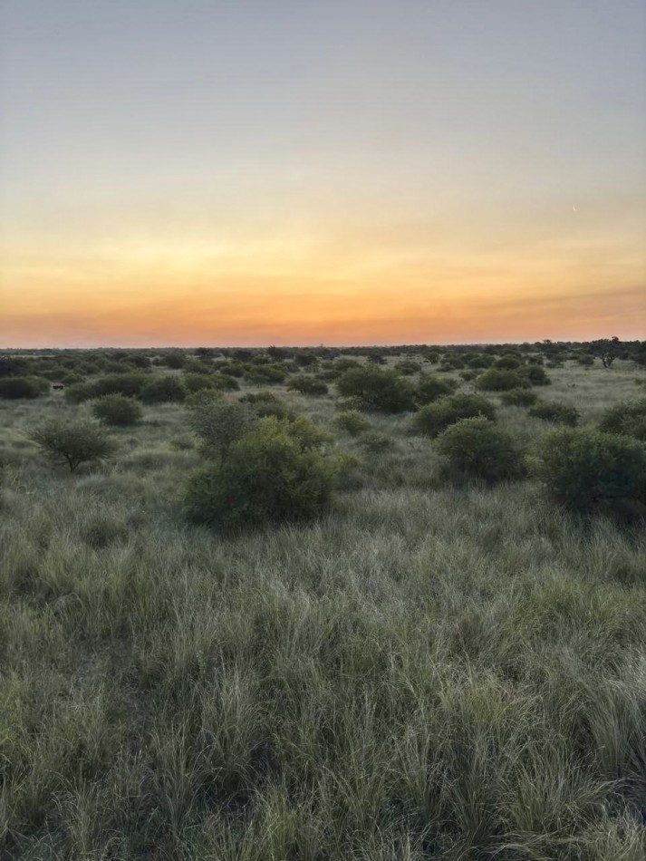 Campo en venta en Helvecia