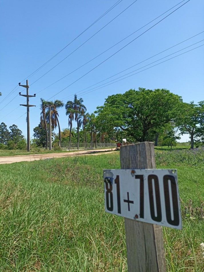 Campo en venta en Helvecia