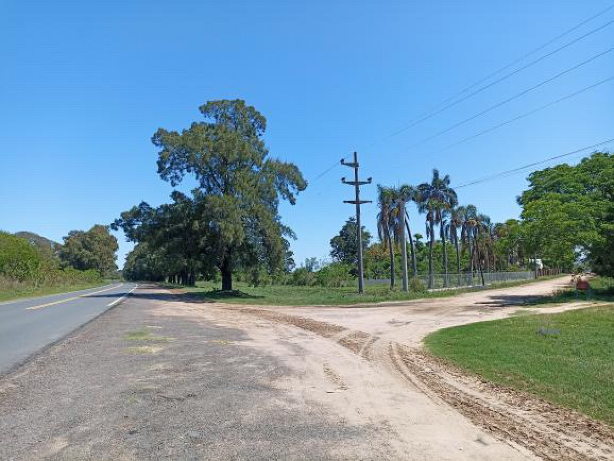Campo en venta en Helvecia
