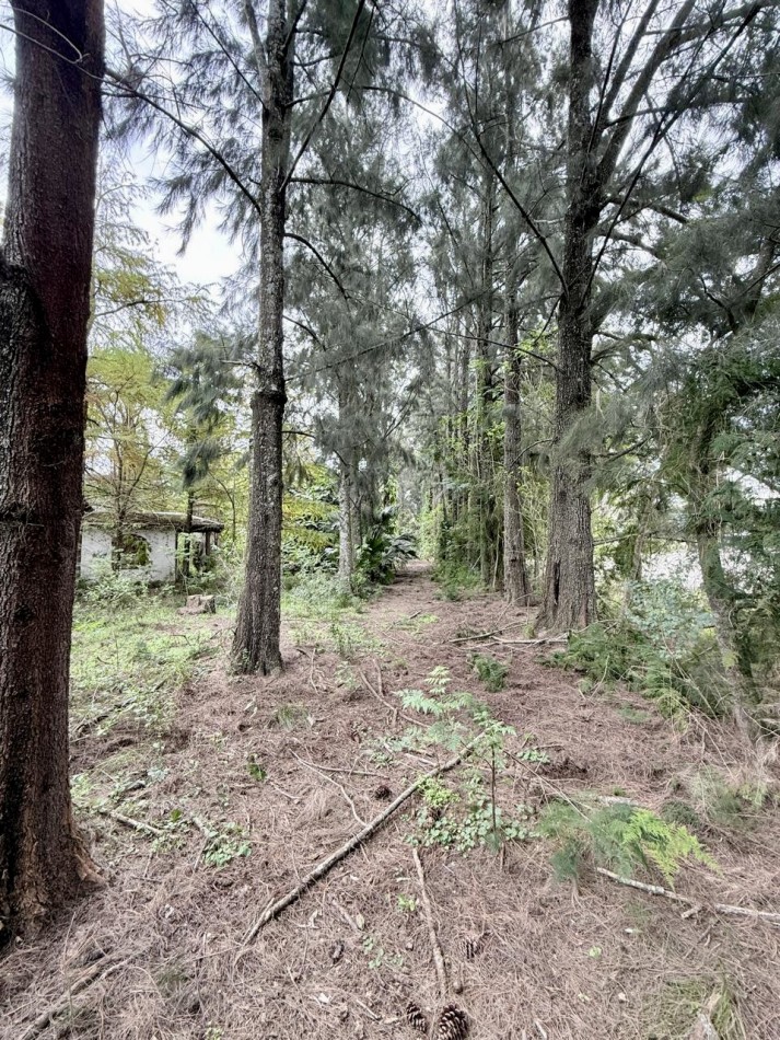 Campo en venta en Arroyo Leyes