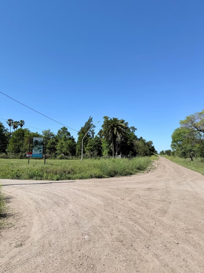 Terreno en venta
