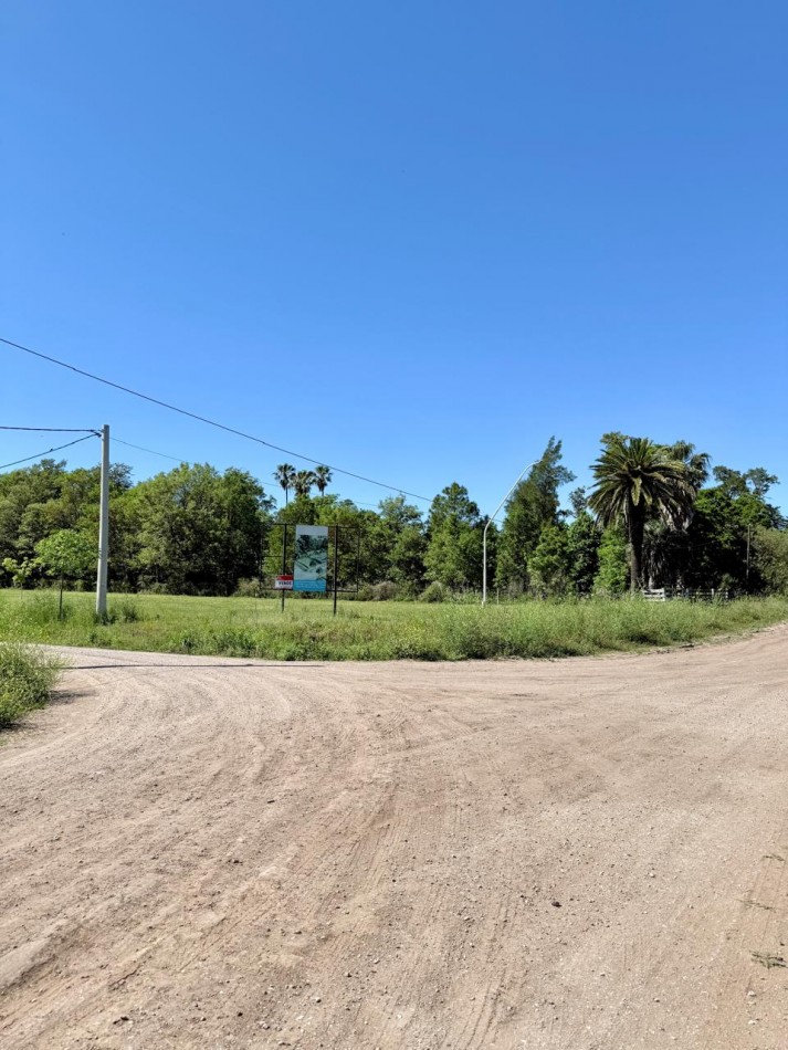 Terreno en venta