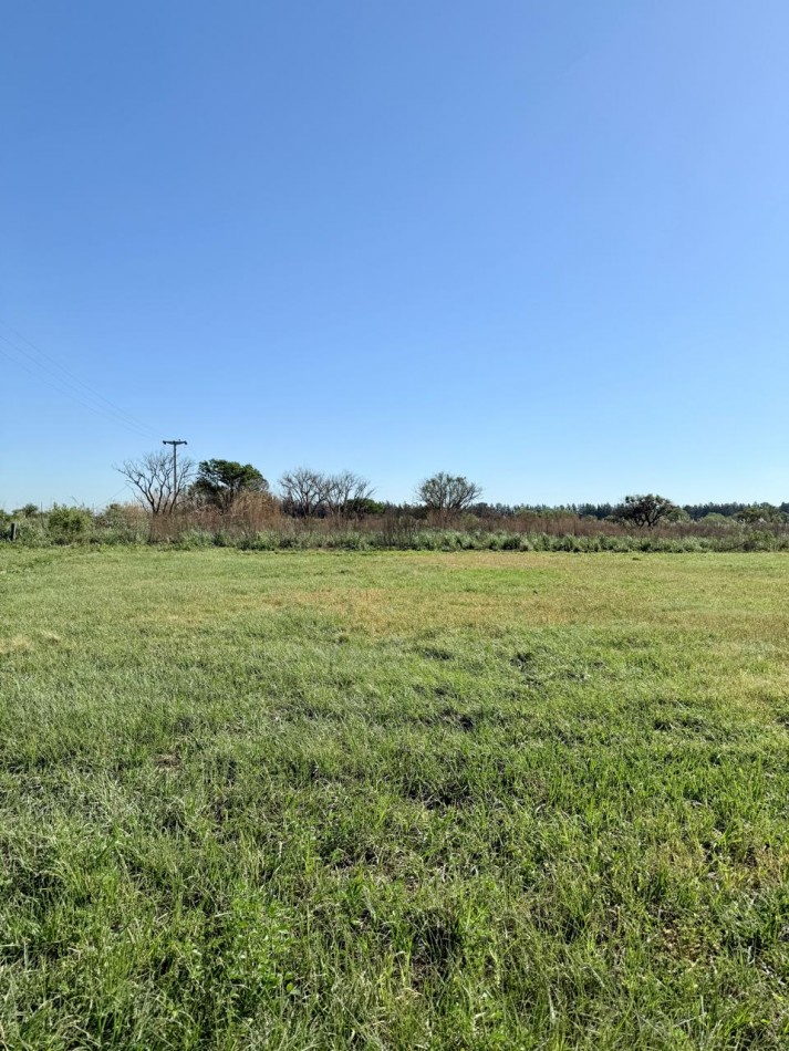 Terreno en venta