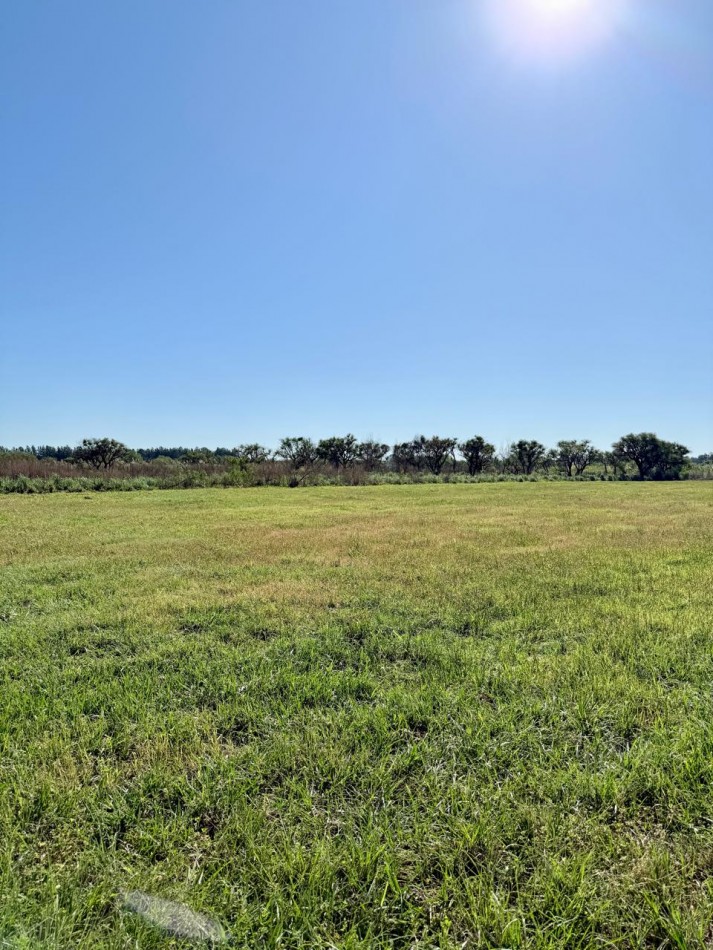 Terreno en venta