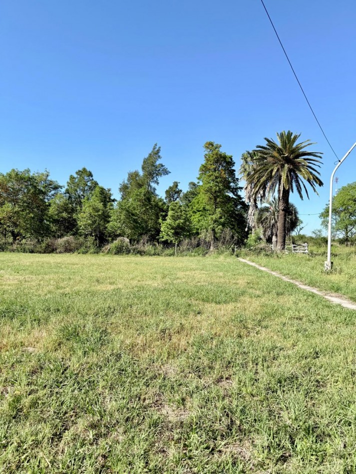 Terreno en venta