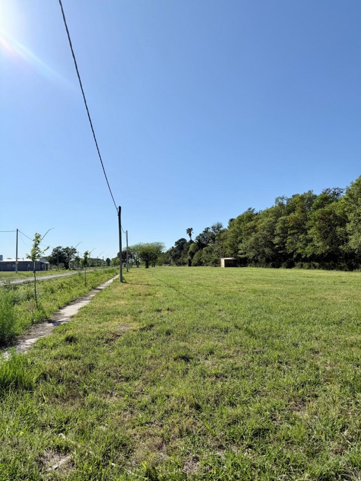 Terreno en venta