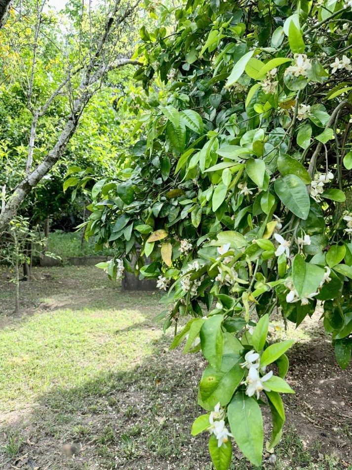 Casa en venta en Cayasta 