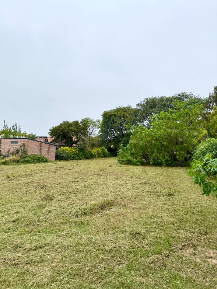 Terreno en venta 