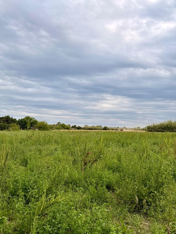 Campo de 3,5 hectareas en venta