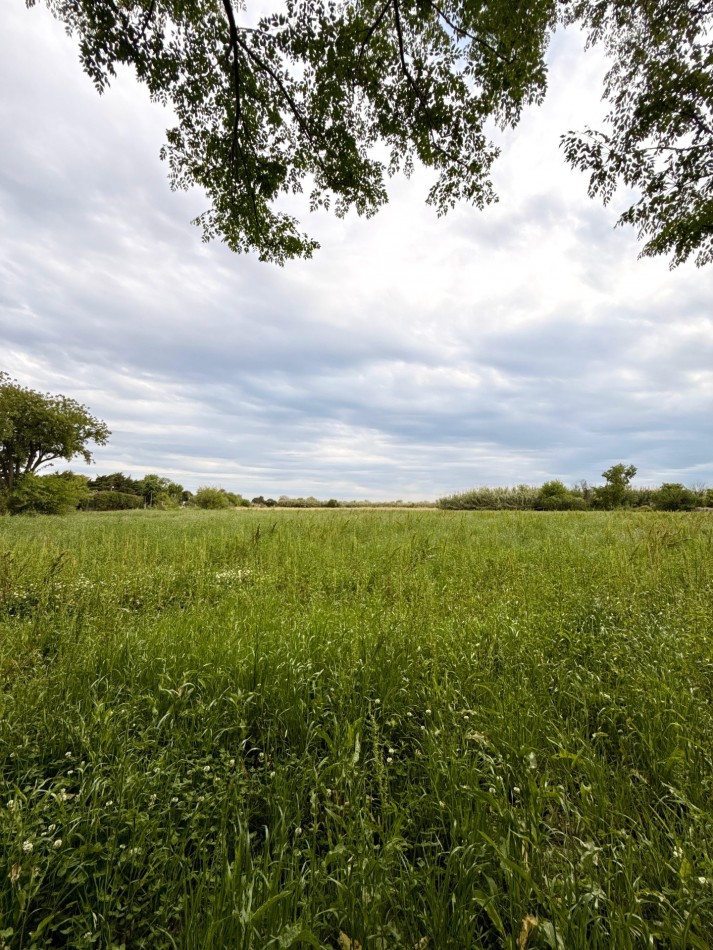 Campo de 3,5 hectareas en venta