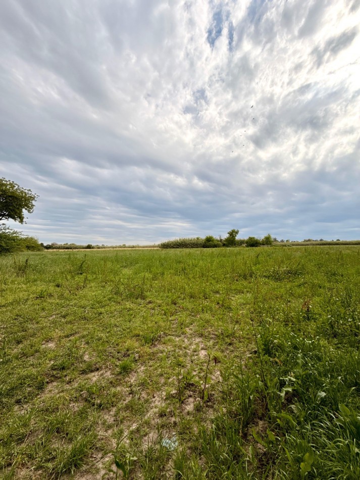 Campo de 3,5 hectareas en venta