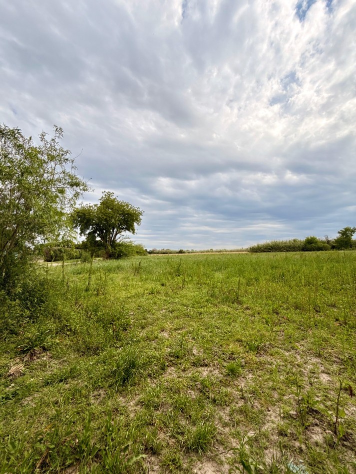 Campo de 3,5 hectareas en venta