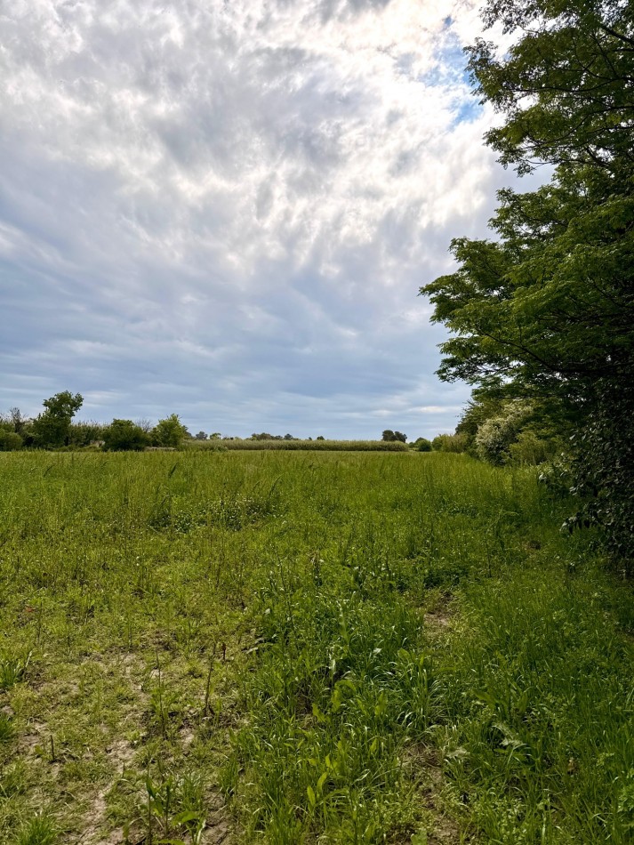 Campo de 3,5 hectareas en venta