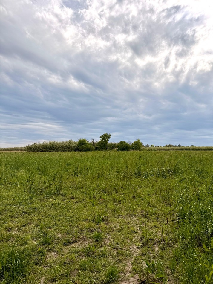 Campo de 3,5 hectareas en venta