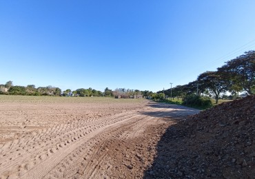 Campo de 6 Hectareas en venta en Santa Rosa de Calchines 