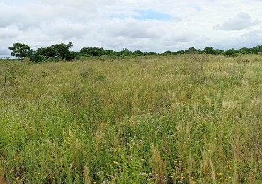 Campo de 2 Hectareas en venta en Cayasta 