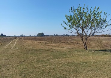 Campo en venta en Helvecia 