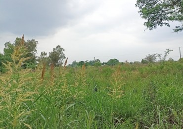 Terreno en venta en Recreo 