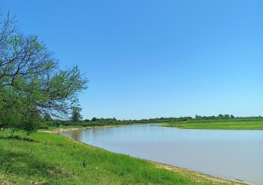 3 Hectareas en venta sobre el rio en Helvecia 