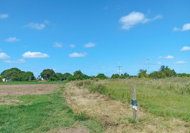 Campo de 4 Hectareas en Helvecia 