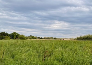Campo de 3,5 hectareas en venta